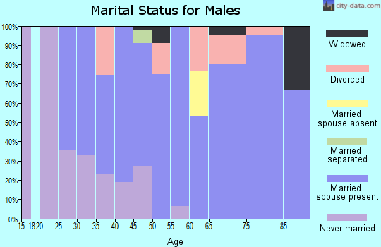 Zip code 61913 marital status for males
