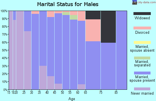 Zip code 61919 marital status for males