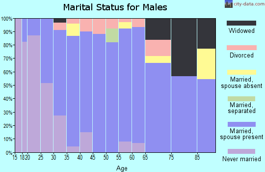 Zip code 61924 marital status for males