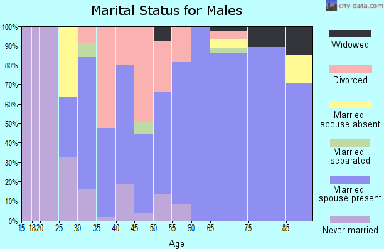 Zip code 61937 marital status for males