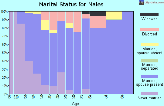 Zip code 61951 marital status for males