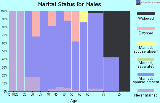 Zip code 62001 marital status for males