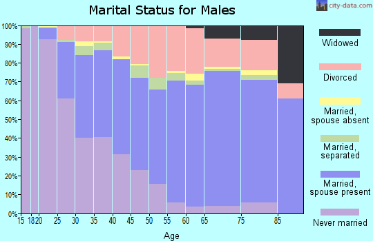 Zip code 62002 marital status for males