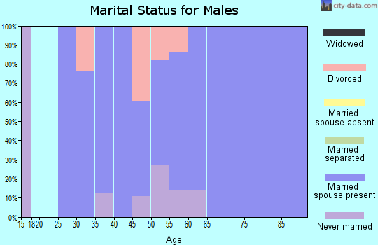 Zip code 62046 marital status for males