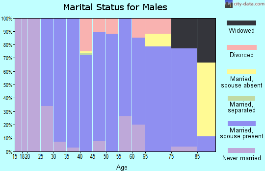 Zip code 62047 marital status for males