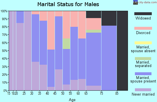 Zip code 62048 marital status for males