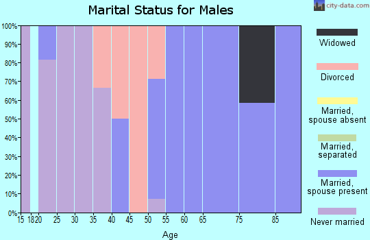 Zip code 62050 marital status for males