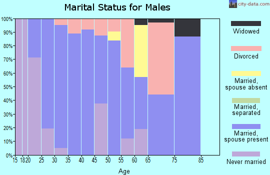 Zip code 62051 marital status for males