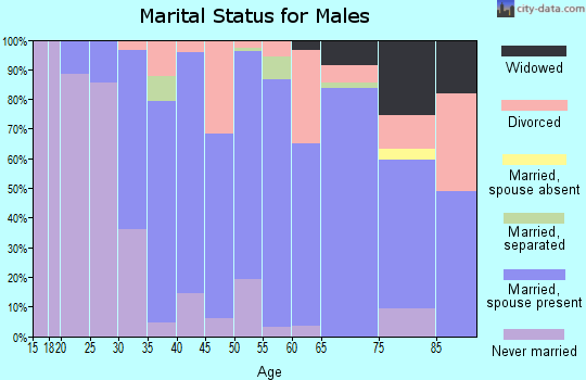 Zip code 62052 marital status for males