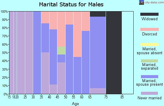 Zip code 62054 marital status for males