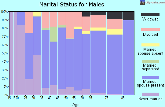 Zip code 62056 marital status for males