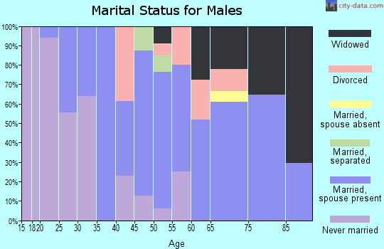 Zip code 62058 marital status for males