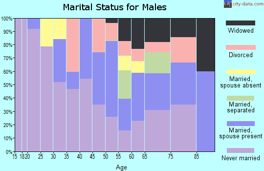 Zip code 62060 marital status for males