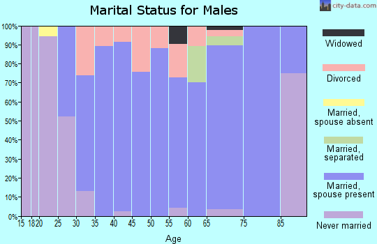 Zip code 62061 marital status for males