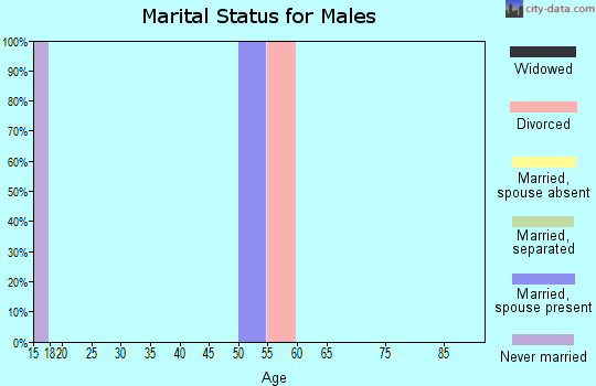 Zip code 62065 marital status for males