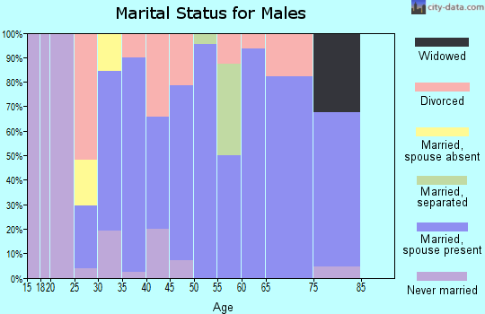 Zip code 62074 marital status for males