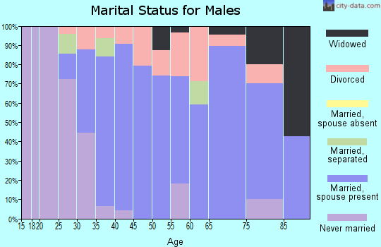 Zip code 62080 marital status for males