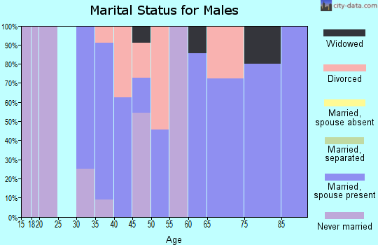 Zip code 62081 marital status for males