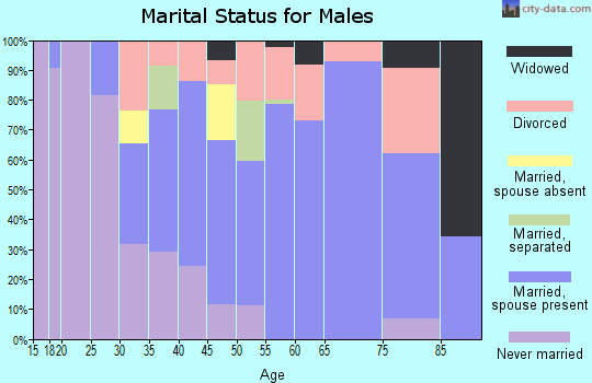 Zip code 62082 marital status for males