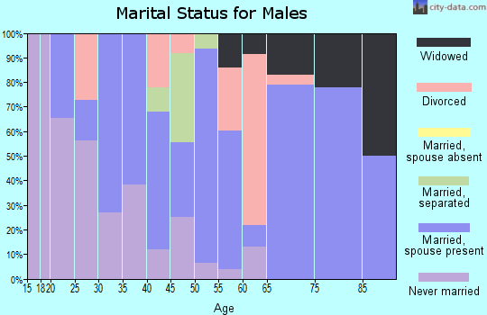 Zip code 62084 marital status for males