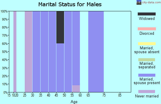 Zip code 62085 marital status for males
