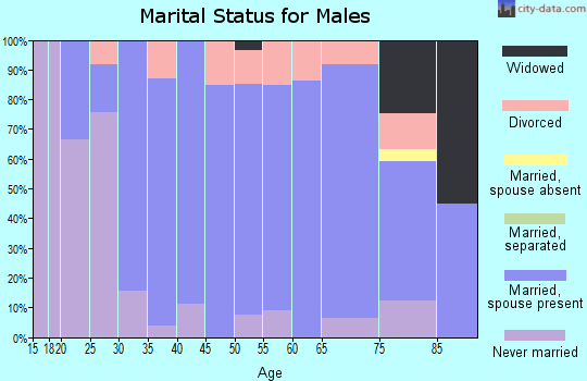 Zip code 62088 marital status for males