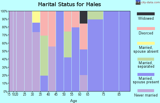Zip code 62090 marital status for males
