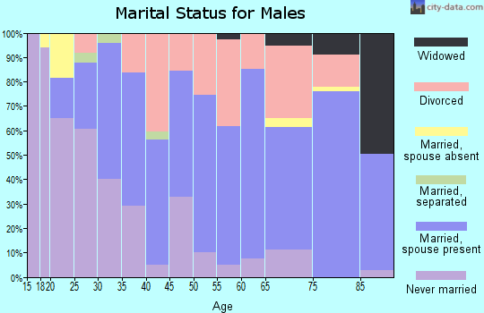 Zip code 62095 marital status for males