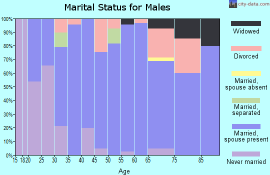 Zip code 62097 marital status for males