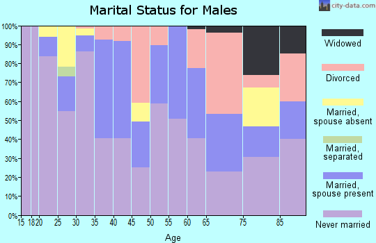 Zip code 62201 marital status for males