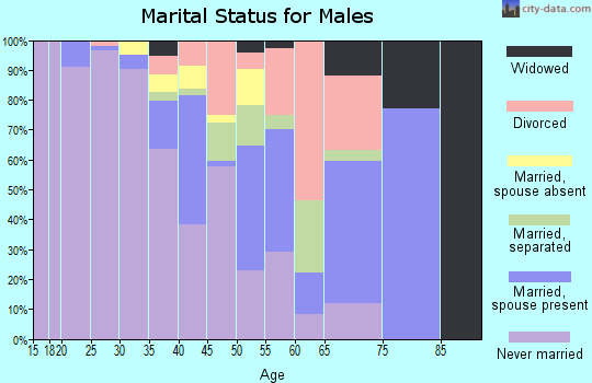 Zip code 62203 marital status for males