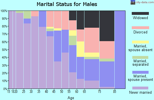 Zip code 62204 marital status for males