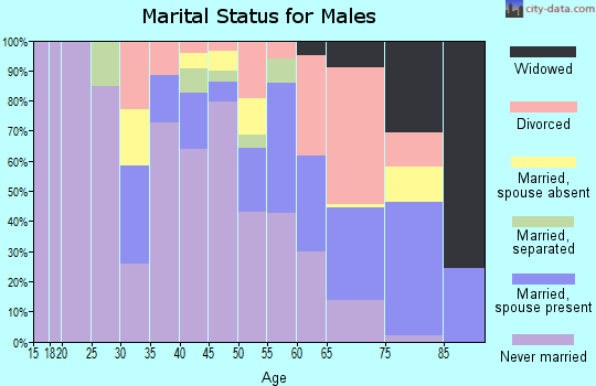Zip code 62205 marital status for males