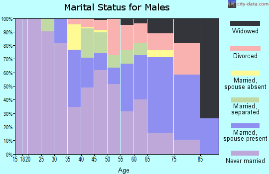 Zip code 62207 marital status for males
