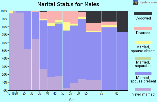 Zip code 62221 marital status for males