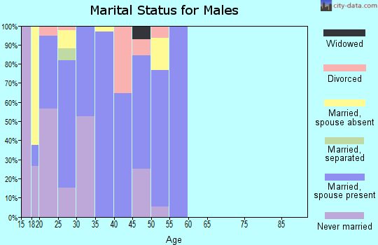 Zip code 62225 marital status for males