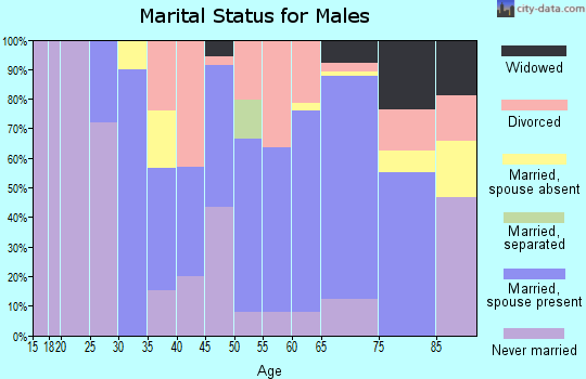 Zip code 62232 marital status for males