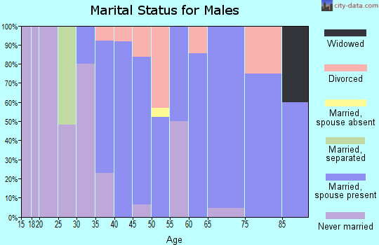 Zip code 62238 marital status for males