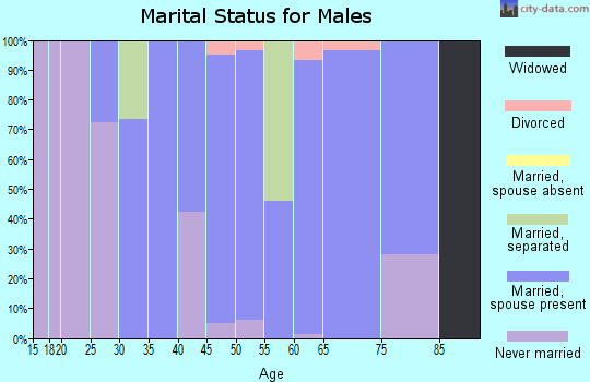 Zip code 62240 marital status for males