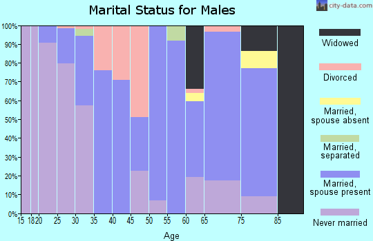 Zip code 62241 marital status for males