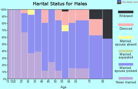 Zip code 62243 marital status for males