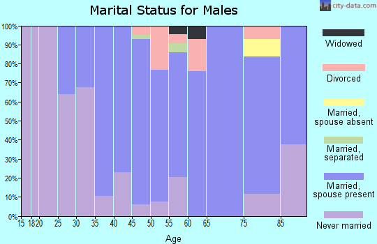 Zip code 62245 marital status for males