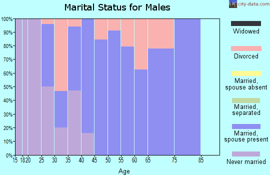 Zip code 62250 marital status for males
