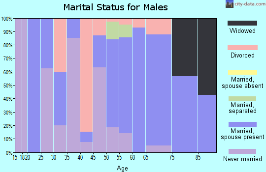 Zip code 62253 marital status for males