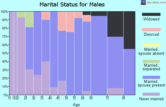 Zip code 62260 marital status for males