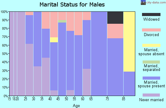 Zip code 62262 marital status for males