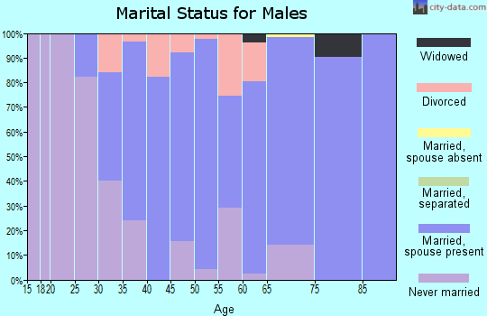 Zip code 62264 marital status for males