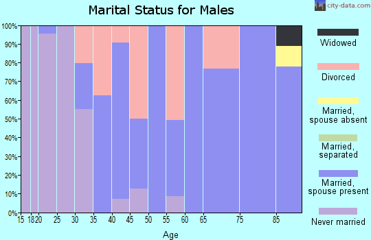 Zip code 62272 marital status for males