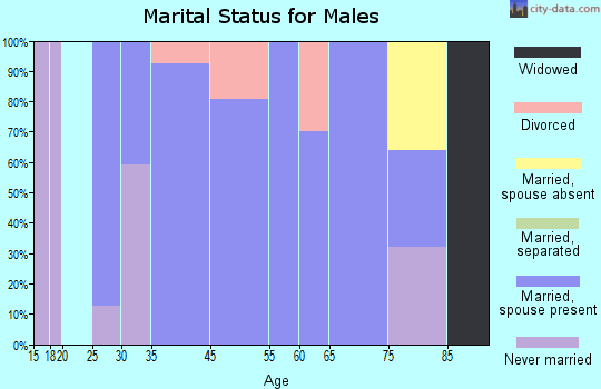 Zip code 62283 marital status for males