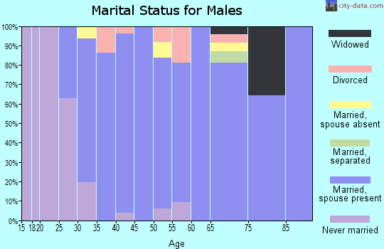 Zip code 62295 marital status for males